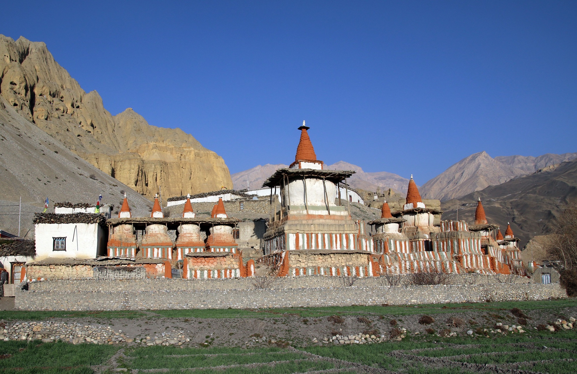 2026 10 Mustang Kneip