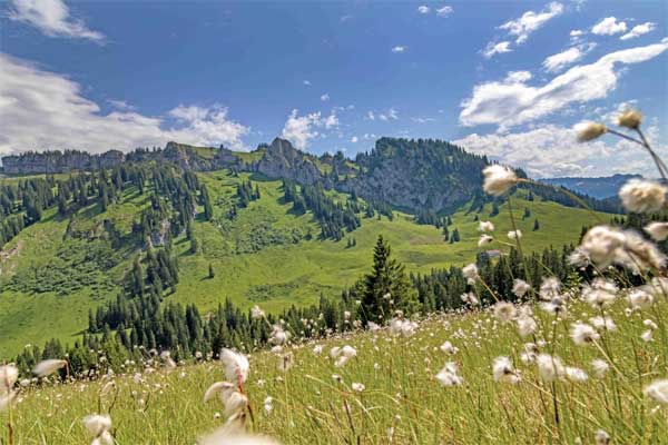 Stopp Naturschutz