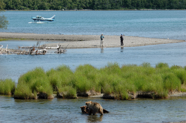 Katmai Angler Plane bären Kopie