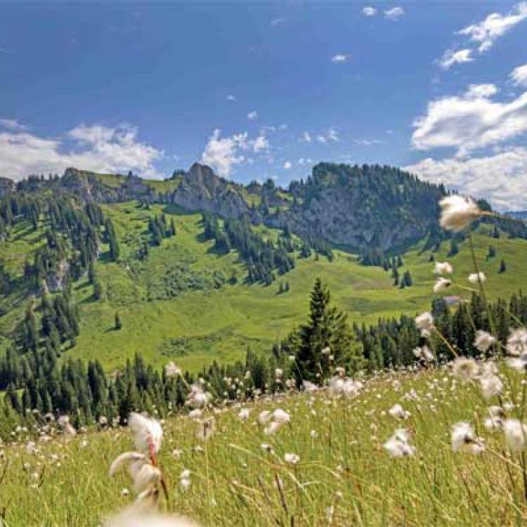 Stopp: Hände weg vom Naturschutz